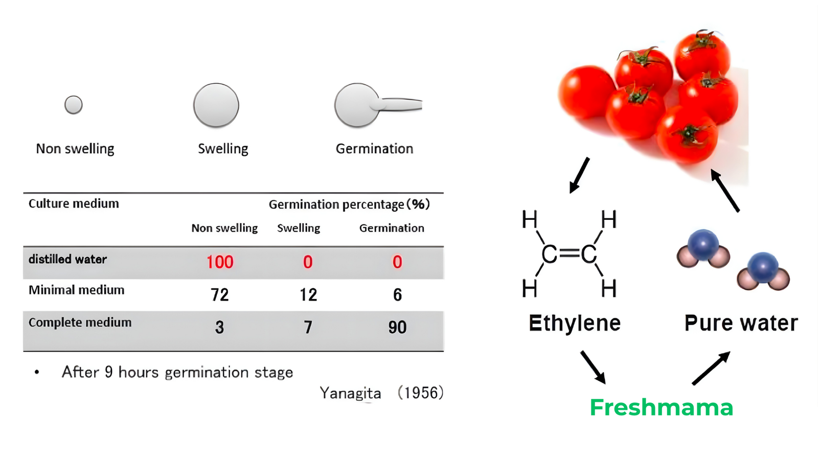 Freshmama Reduces Airborne Spore Growth